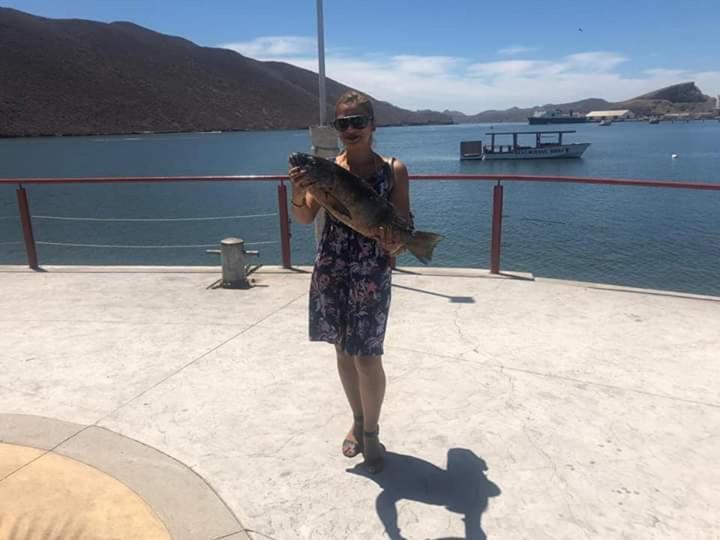 Tortuga Hostel Topolobampo エクステリア 写真