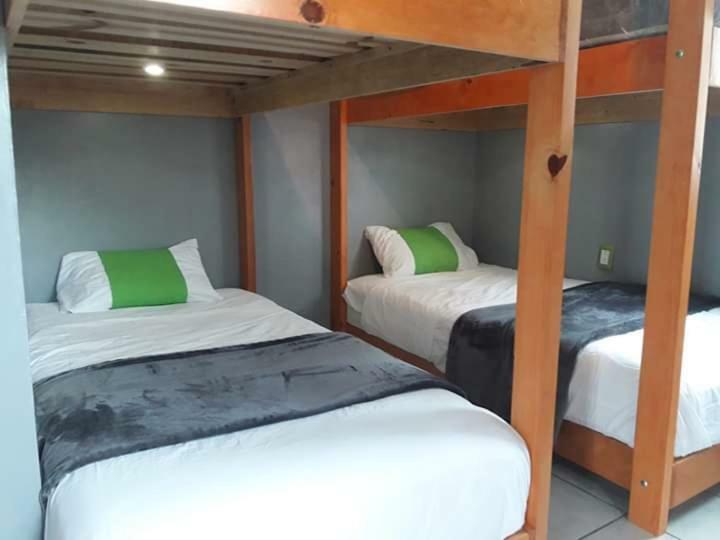Tortuga Hostel Topolobampo エクステリア 写真